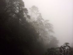 iphone_upload_pic-东天目山风景区