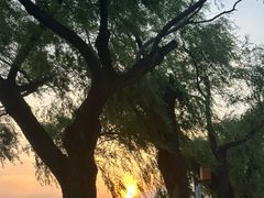 -长春市南湖公园