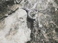 -金谷里艺术馆