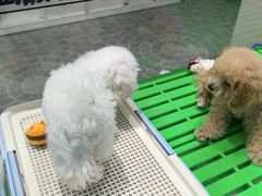 -百荣世贸商城
