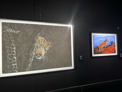 -罗红摄影艺术馆