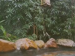 -崇阳三特浪口温泉