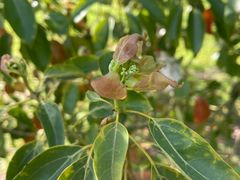 -艾溪湖湿地公园