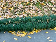 -杭州西湖风景名胜区-钱祠表忠