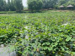 -日照灯塔风景区