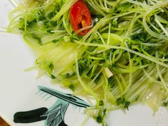 炒豆苗-聪辉同安老美食饭店(大元路店)