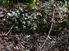 -五女峰国家森林公园