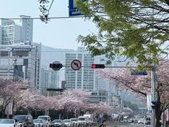 -海云台海滩
