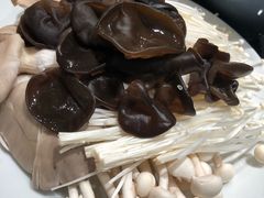-不老仙金汤虾丸火锅