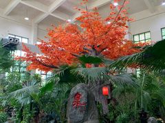 -东方华地城湿地温泉度假区
