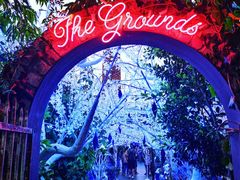 -The Grounds of Alexandria