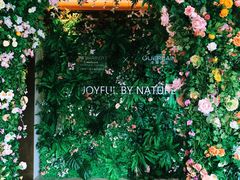 -JW酒廊 JW Lounge(上海鲁能JW万豪侯爵酒店)