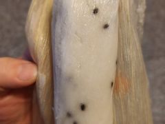 -阙纪粑店(眉山二店)