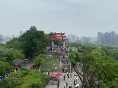 -黄鹤楼公园(黄鹤楼)