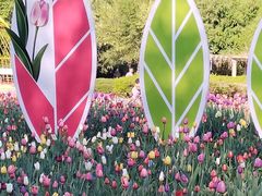 -长春公园(普阳街道)