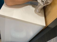 -pd派德宠物中心医院24H急重症·眼科中心·血液透析中心(嵩山北路店)