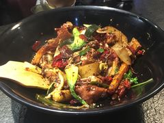 -食乐佳麻辣香锅(森林摩尔商业街区店)