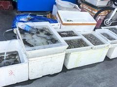 -王四营海鲜市场