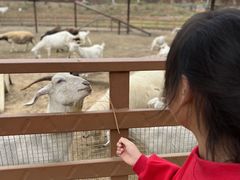 -盈香心动乐园