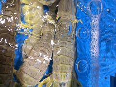 -徐记海鲜(大雁塔|金都店)
