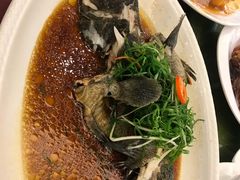 珍珠龙趸-天鲜阁·海鲜粤菜·33年老字号(石槎白云站店)