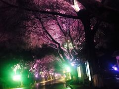 -禅驿嘉定院子-禅欢江景餐厅·中餐·户外烧烤定制(乐山大佛店)