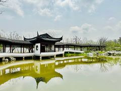 -上海滨江森林公园