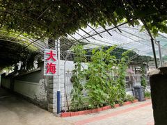 -大海别墅民宿农家院(十渡店)