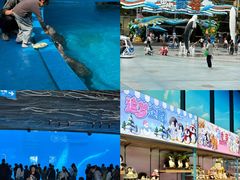 -海合安成都极地海洋公园