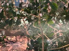 -上海昆虫博物馆