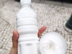 -洪馨椰子
