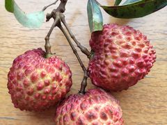 荔枝王-沈阳市八家子水果批发市场