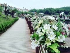 -大塘金香草谷