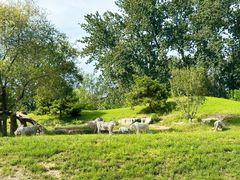 -北京野生动物园