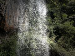-龙苍沟森林公园