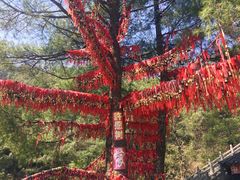 -苍山感通索道