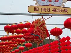 -同里国家湿地公园