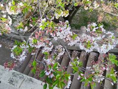 -苏州上方山国家森林公园