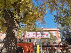 -三里屯东五街银杏大道