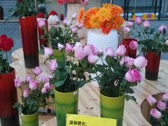 -荷兰花海