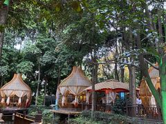 -二荆条·蜀鲜汇城市森林火锅