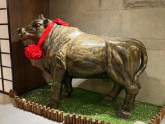 -秦宝雪花牛肉养生火锅(大兴九臻店)