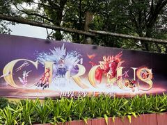 -广州长隆国际大马戏