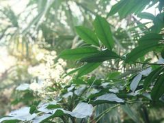 -西安国际创新人才交流中心•药浴温泉