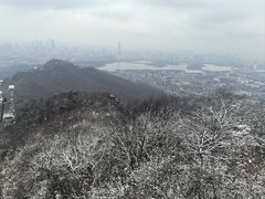 -紫金山天文台