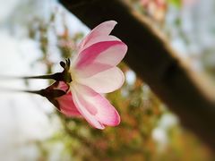 -海棠花溪(元大都城垣遗址公园)