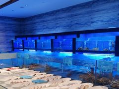 -姚江春中餐厅·太平洋大酒店