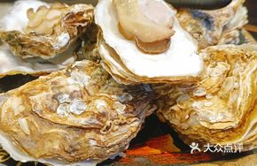 Freshly Shucked Oyster Meat