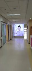 -北京爱育华医院-医疗美容科