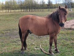 -塞罕坝国家级自然保护区